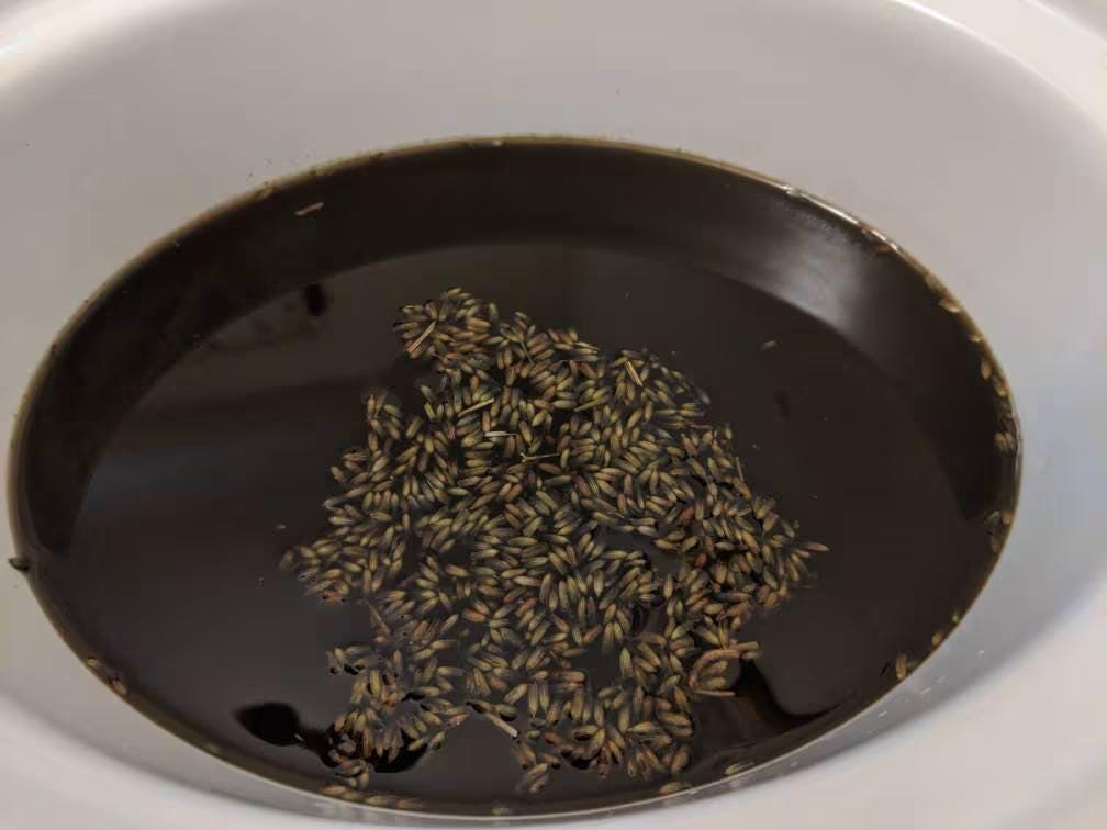 Ayurvedic Hair Oil: Amla, Fenugreek & Jamaican Black Castor Oil Blend