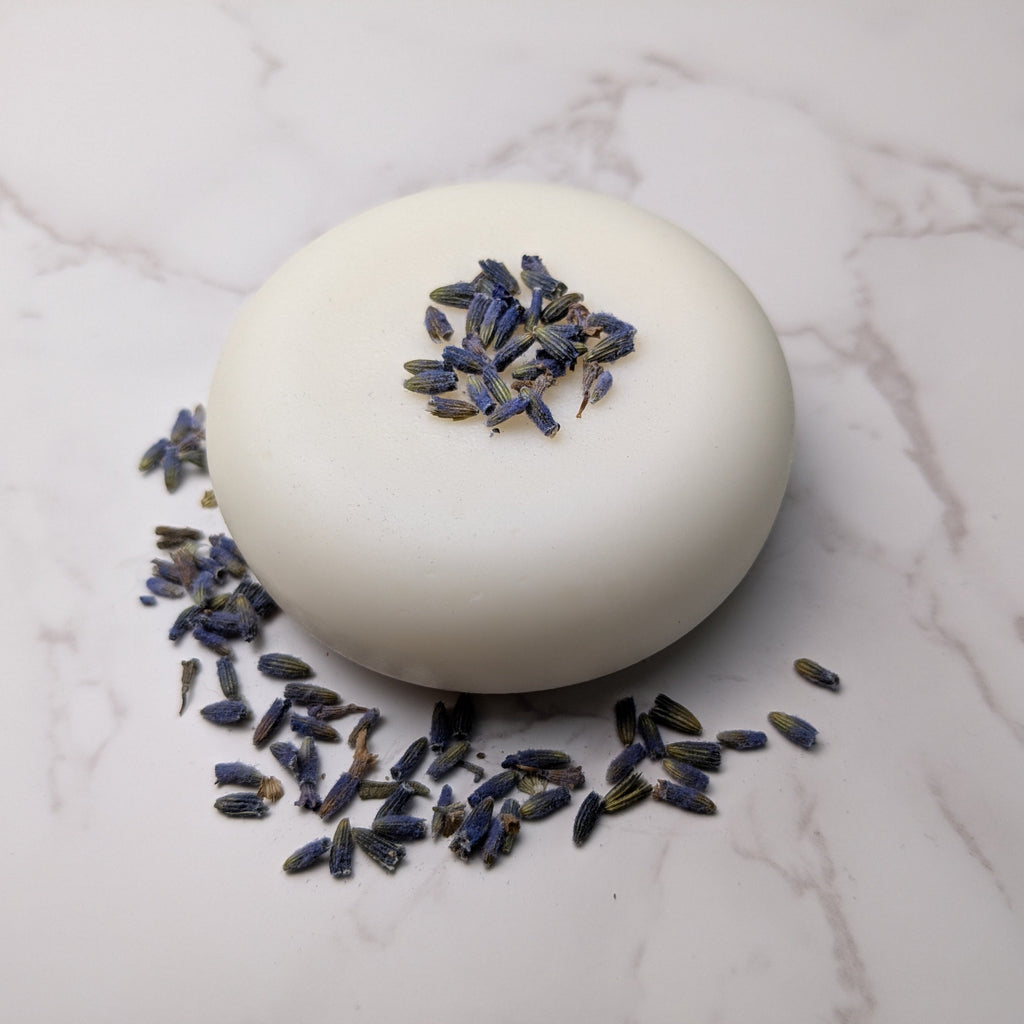 Moringa & Kokum Conditioner Bar